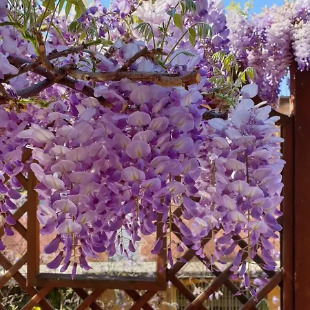 Bed & Breakfast Episcopo Lipinsky Luxury