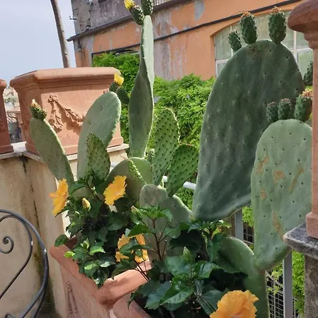 Episcopo Lipinsky Luxury